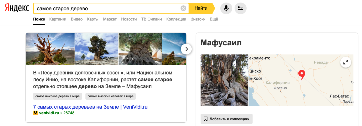 Сниппет с ответом в Яндексе